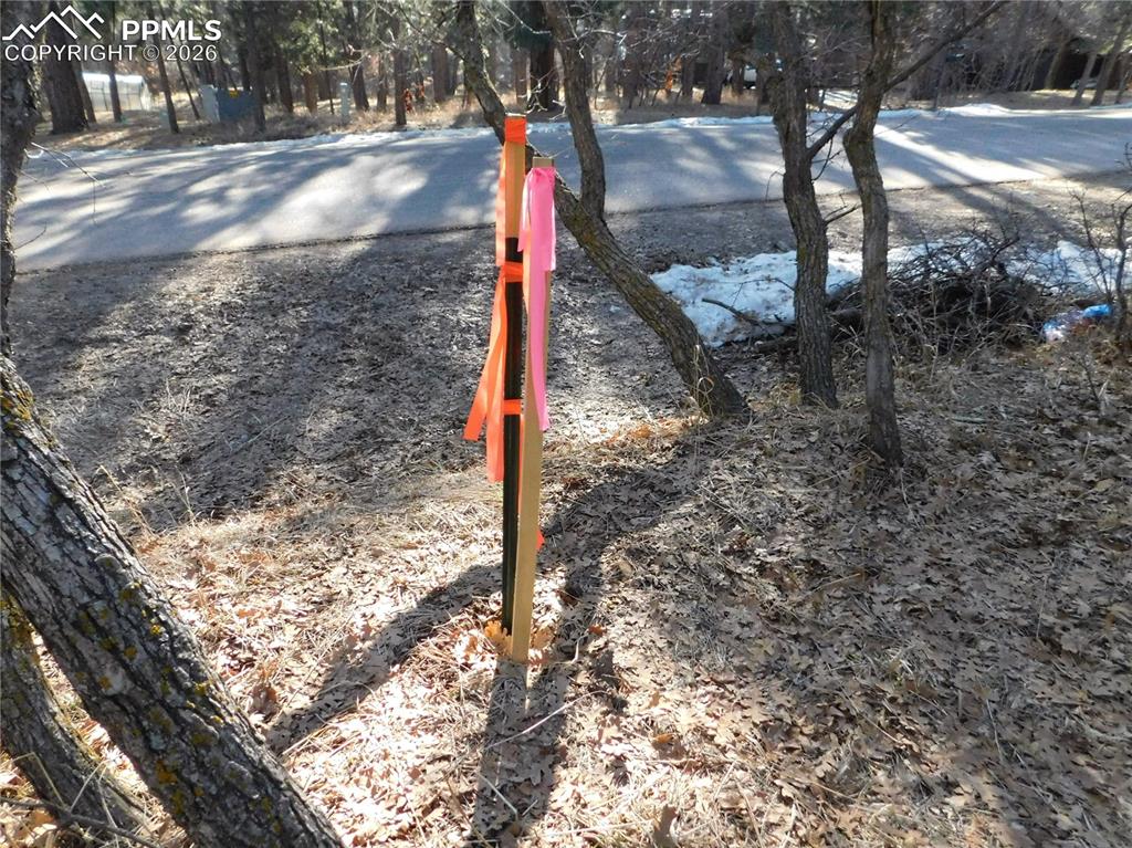 Image 22 of 27: No Description Available