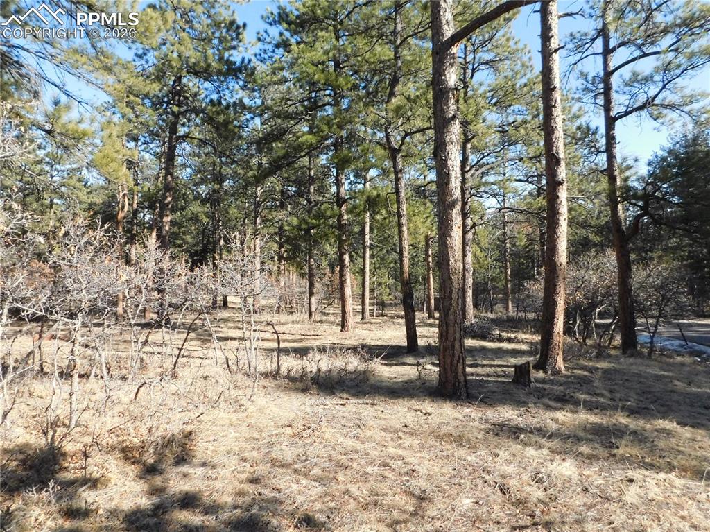 Image 25 of 27: No Description Available