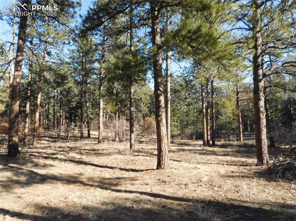 Image 27 of 27: No Description Available