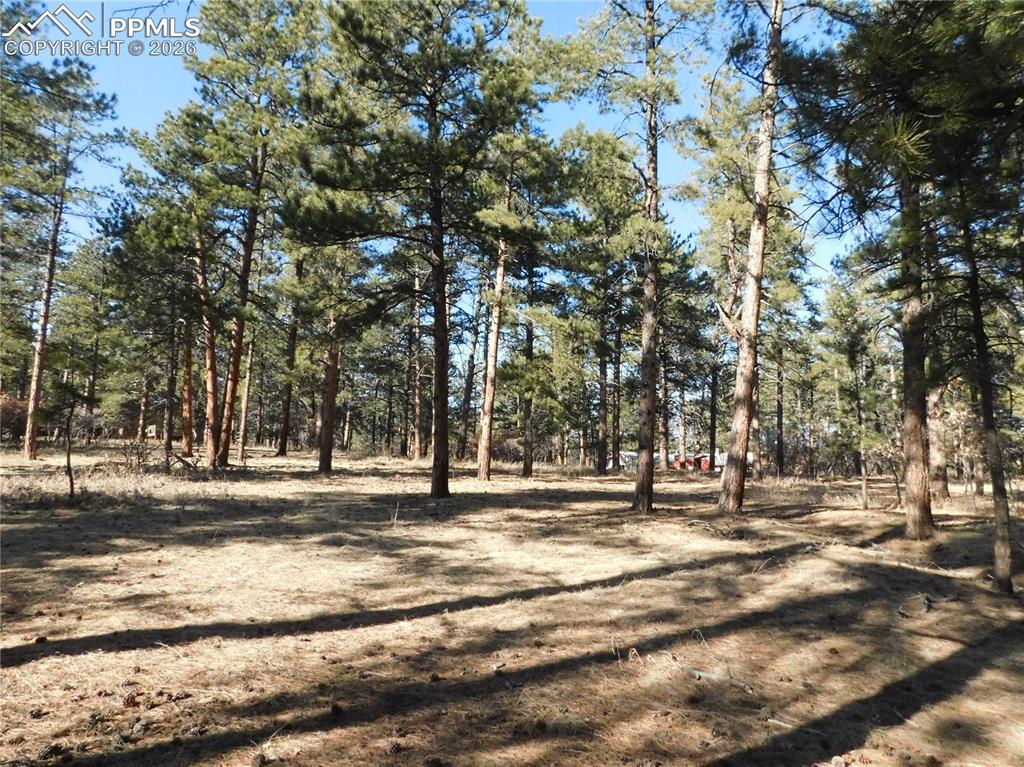 Image 4 of 27: No Description Available