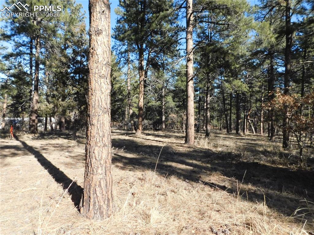 Image 5 of 27: No Description Available