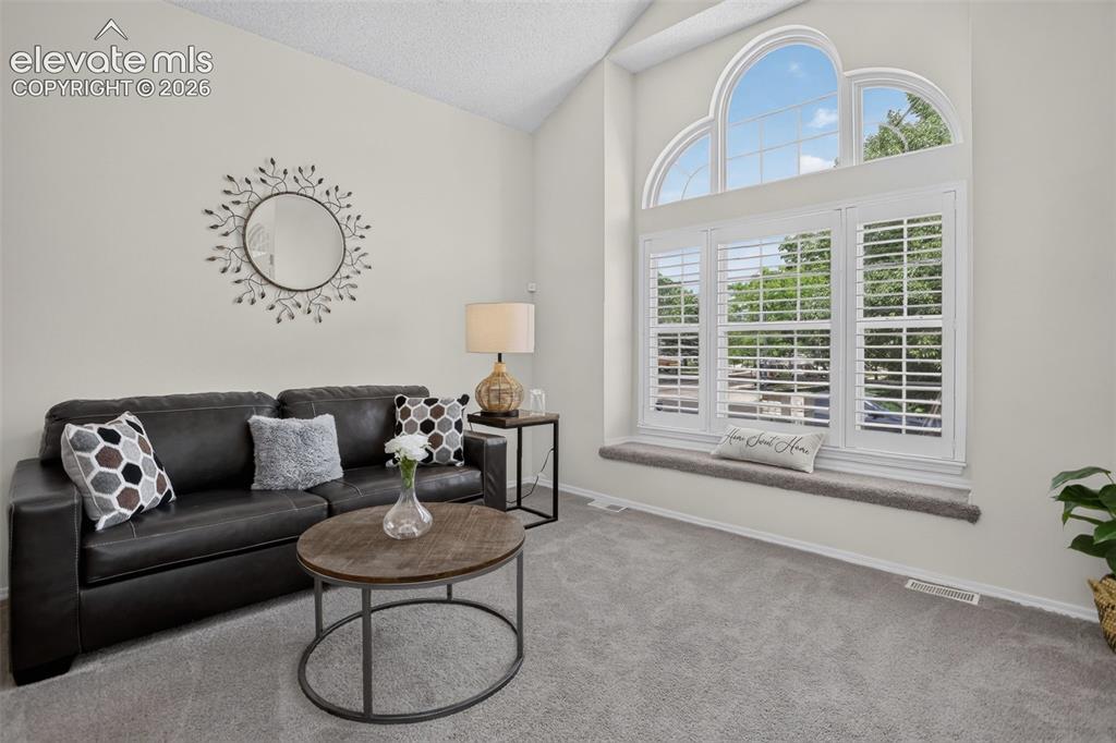 Image 11 of 49: Vaulted ceiling living room featuring a large arched window with plantation