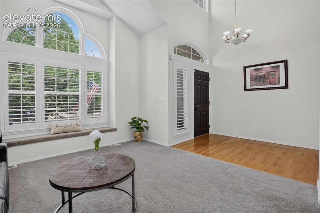 Image 9 of 49: Vaulted ceiling entry with arched transom window, a dark-paneled door, and