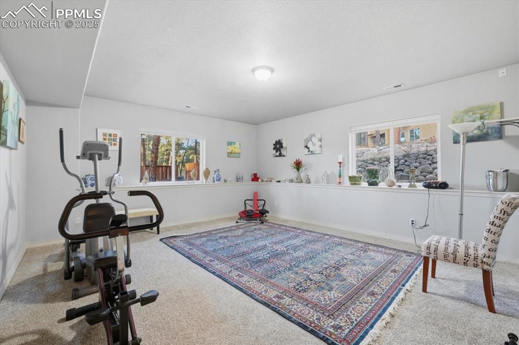 Image 28 of 49: Basement exercise room/bedroom