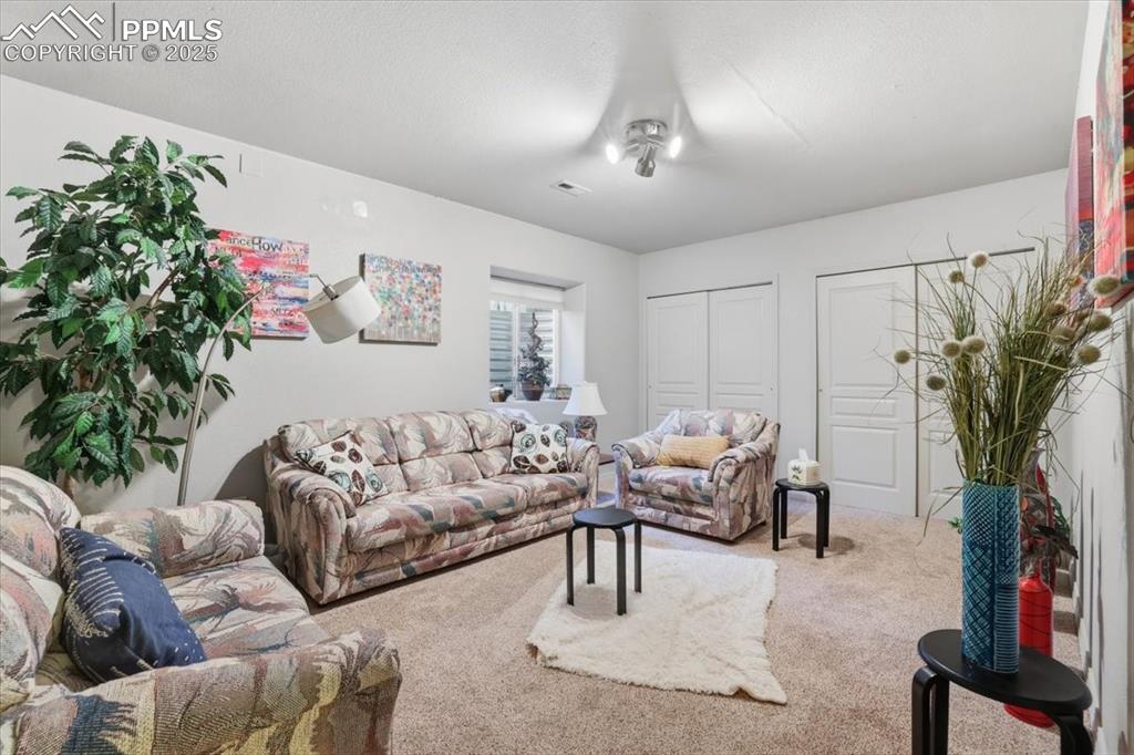 Image 29 of 49: Basement bedroom