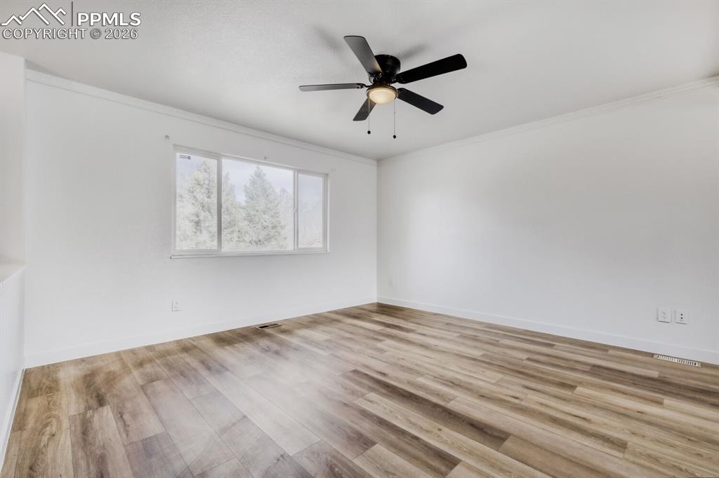Image 6 of 36: Living room with luxury vinyl plank flooring