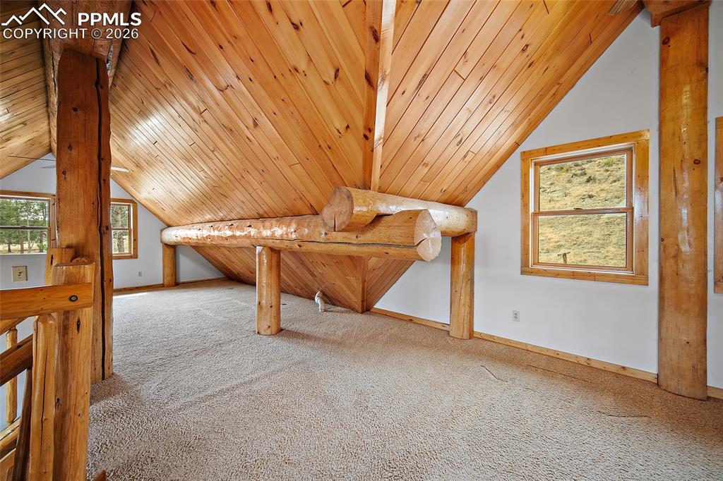 Image 20 of 28: Bonus Room