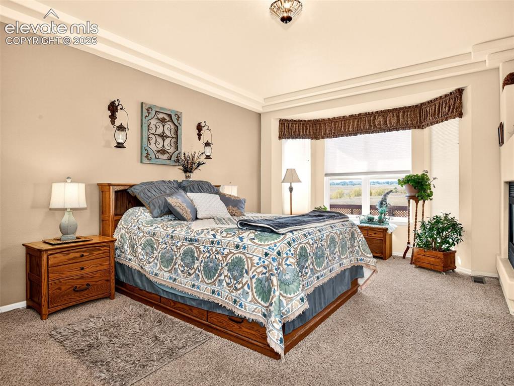 Image 20 of 49: Large primary bedroom with fireplace and large windows with view of Pikes P