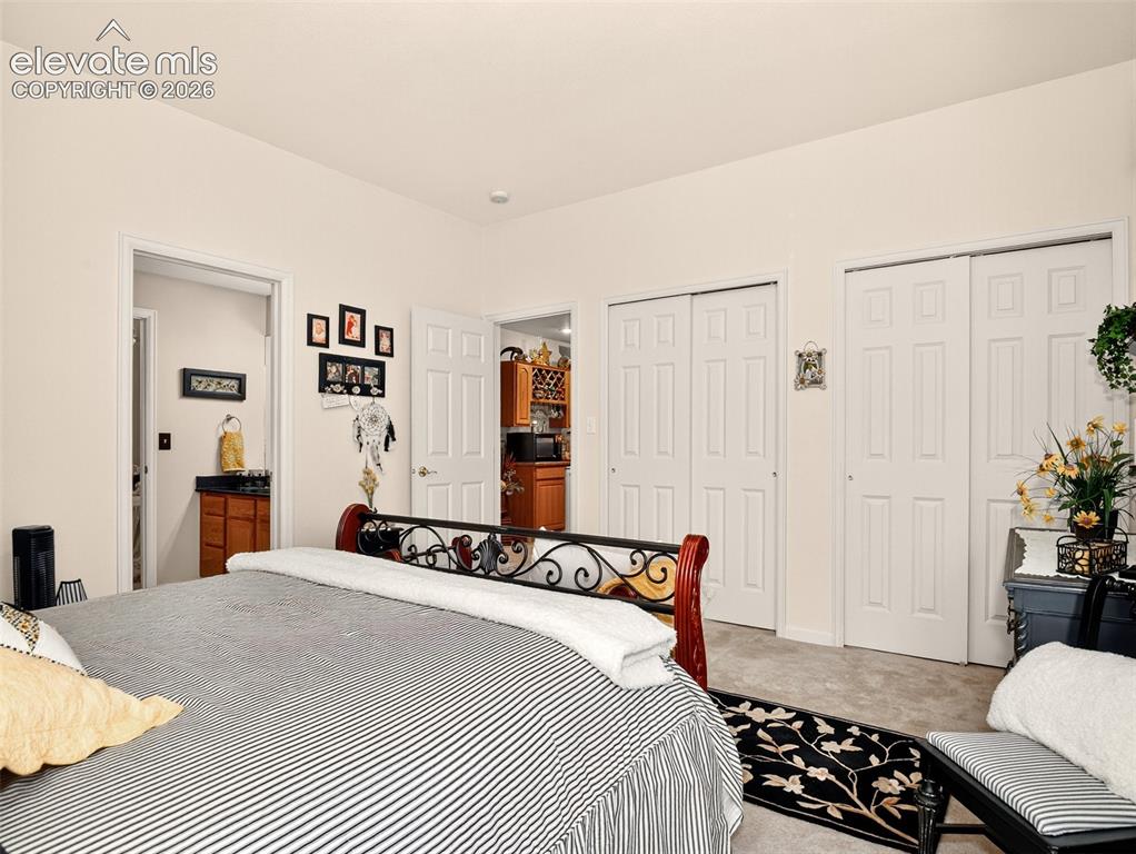 Image 34 of 49: Third bedroom in basement with dual closets.