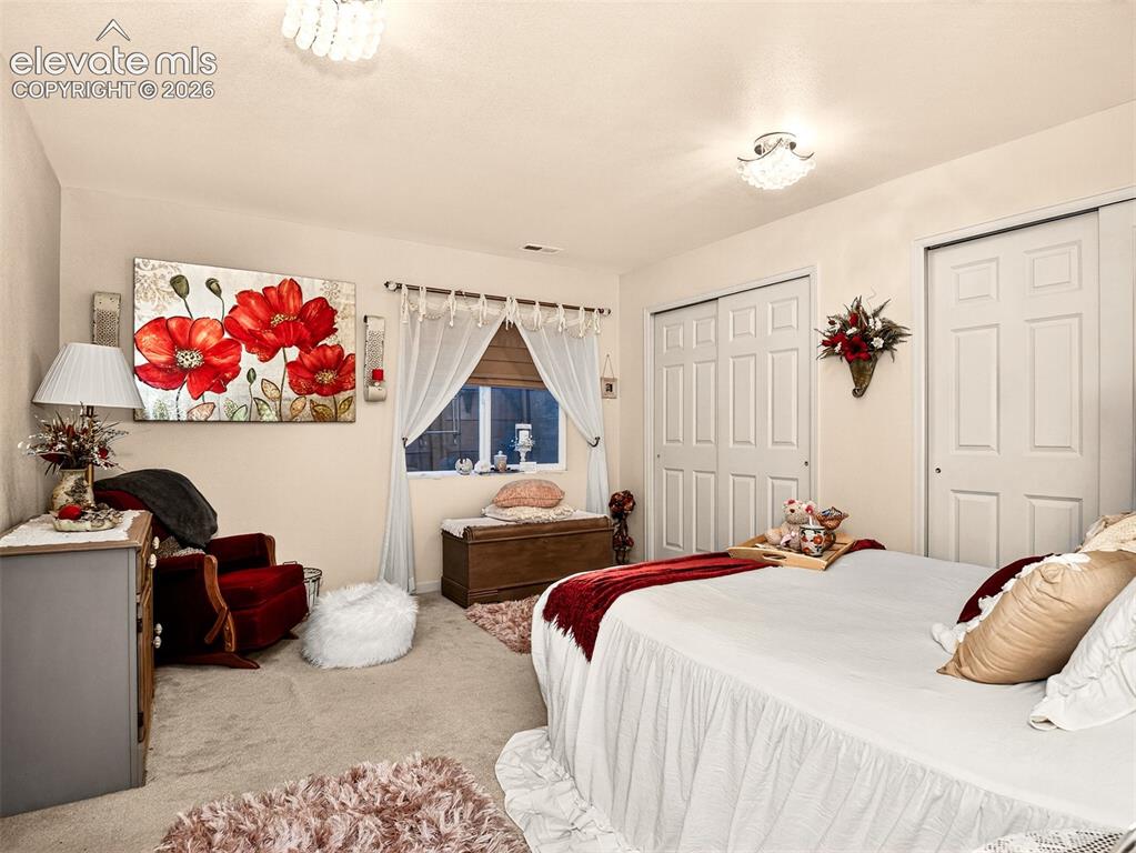 Image 35 of 49: Fourth bedroom in basement with dual closets.