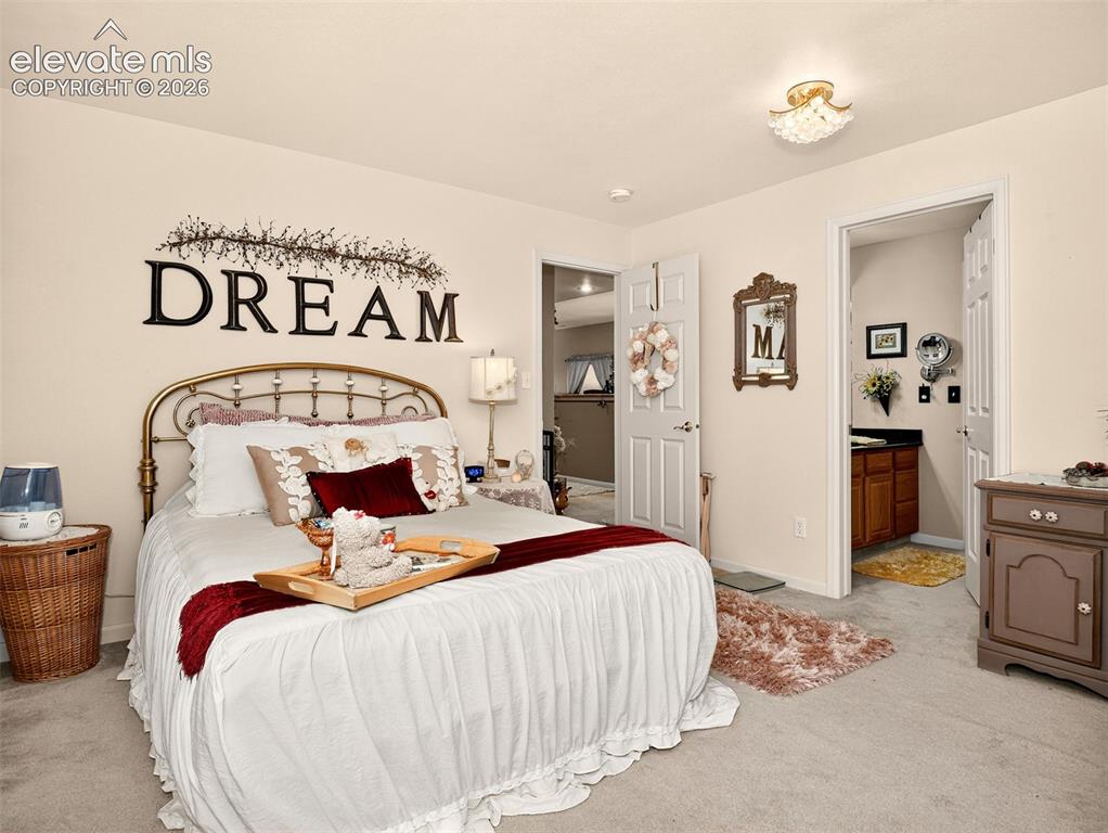 Image 36 of 49: Fourth bedroom in basement with dual closets.