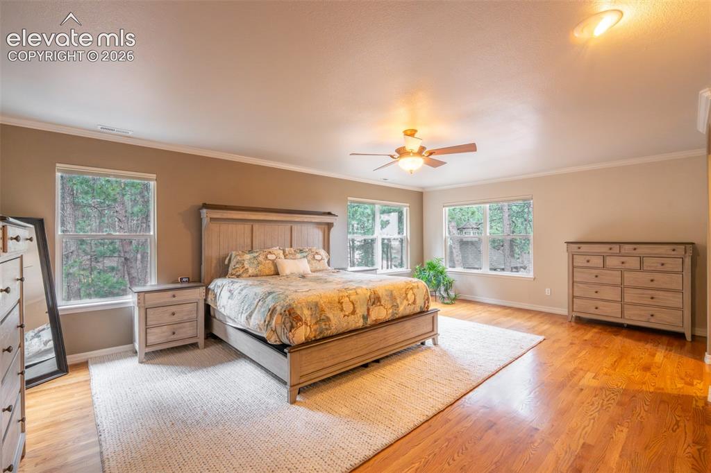 Image 21 of 49: Primary bedroom (1) with fireplace, double walk in closet, and ensuite 5 pi