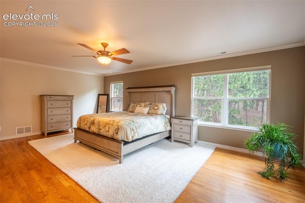 Image 24 of 49: Primary bedroom (1) with fireplace, double walk in closet, and ensuite 5 pi