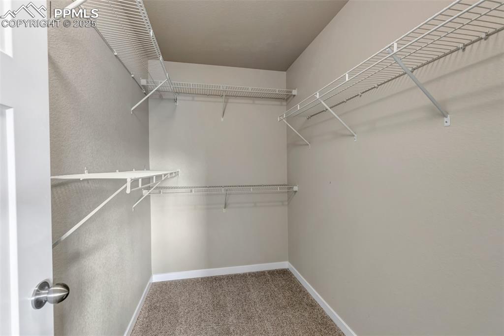 Image 21 of 37: Walk in closet with light carpet