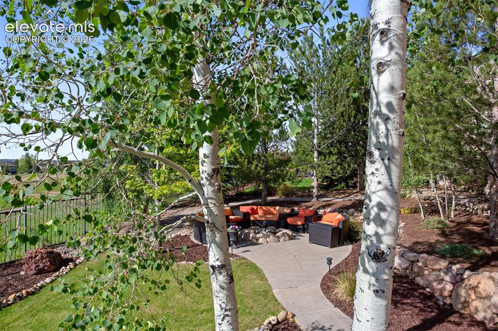 Image 37 of 41: Through the Aspens to the Fire Pit