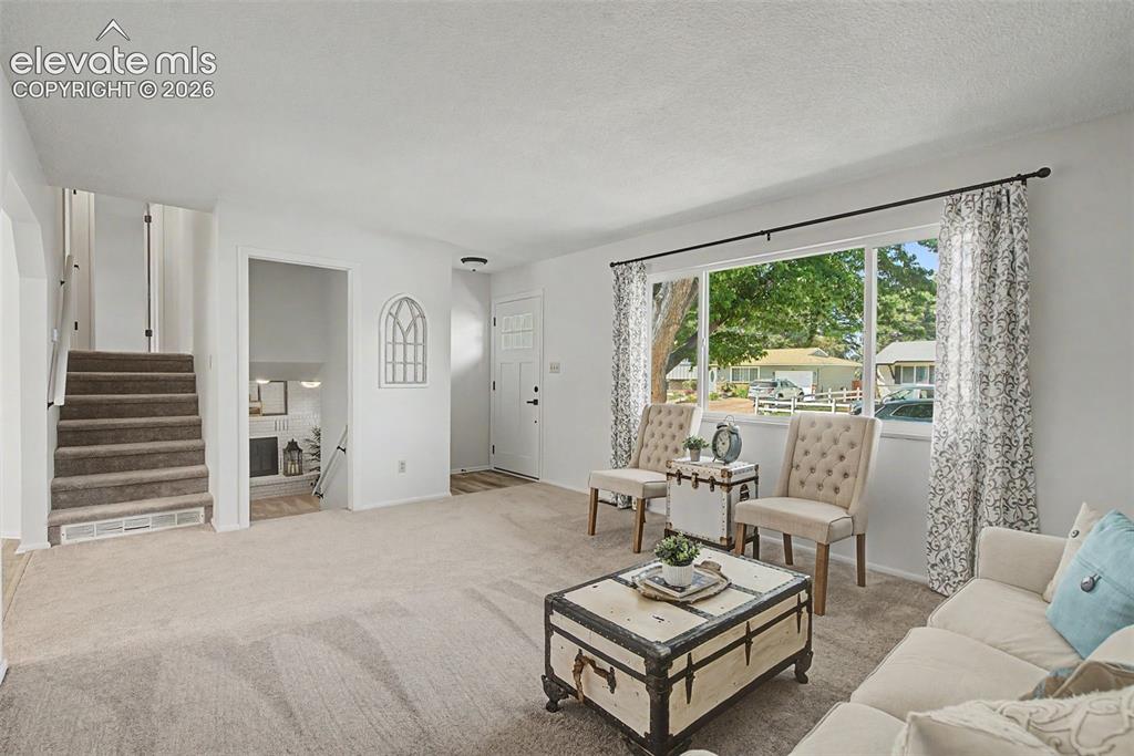 Image 7 of 37: Large living room with new carpet and paint throughout