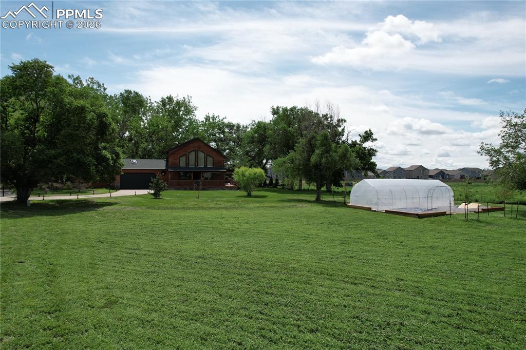 Image 43 of 46: Summer Photo