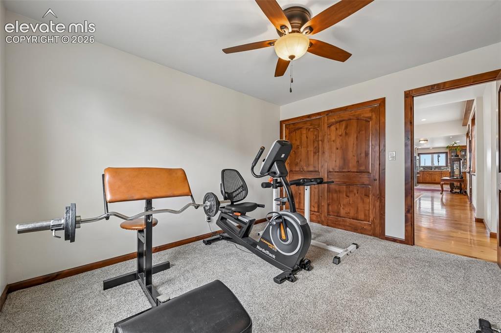 Image 21 of 36: Carpeted room with a ceiling fan, wood-finish bi-fold closet doors, and woo