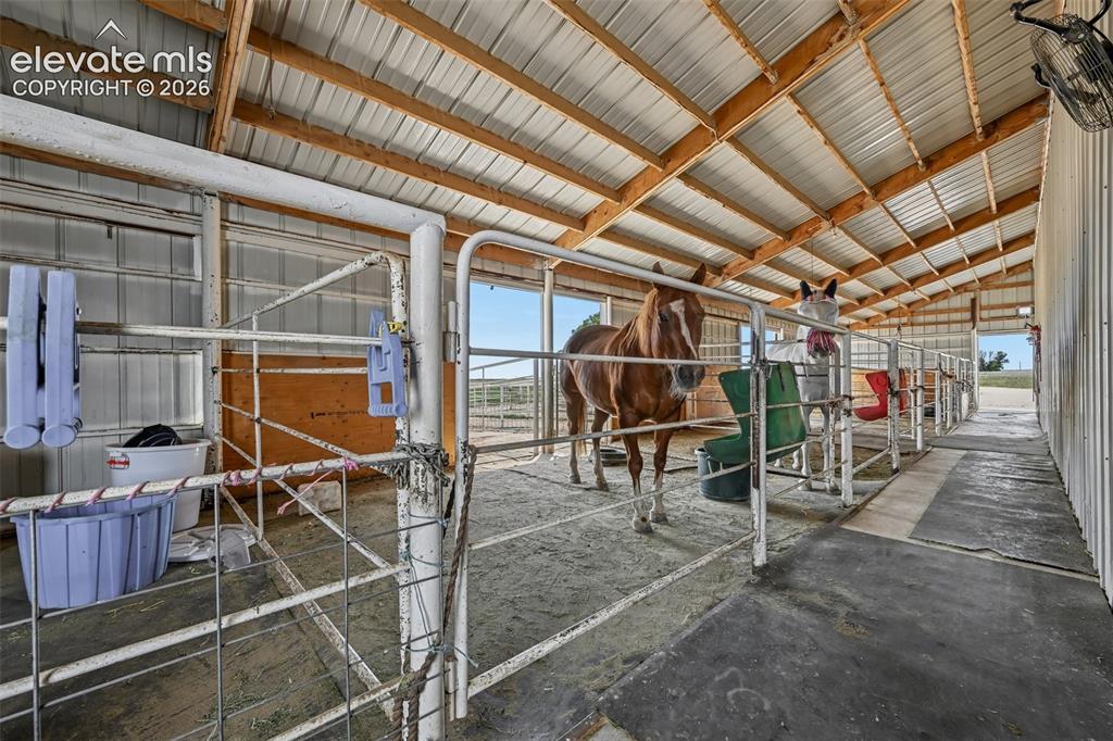 Image 30 of 36: Metal barn structure featuring multiple stalls with metal gates, an exposed
