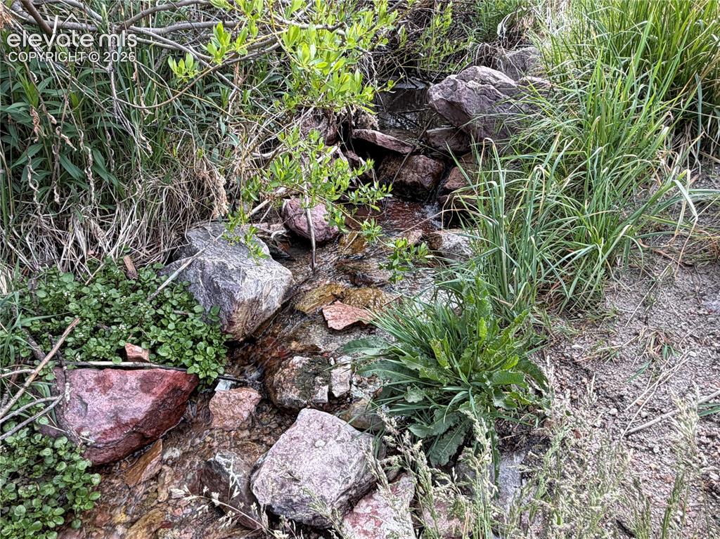 Image 11 of 50: Creek in the open space