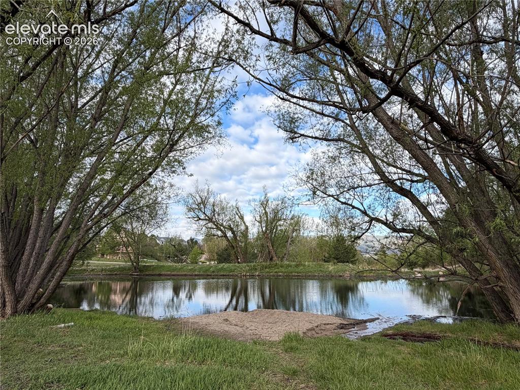 Image 12 of 50: Pond in the open space