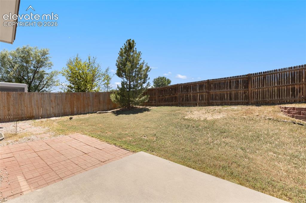 Image 23 of 34: Spacious backyard featuring a wood privacy fence, a mature evergreen tree, 