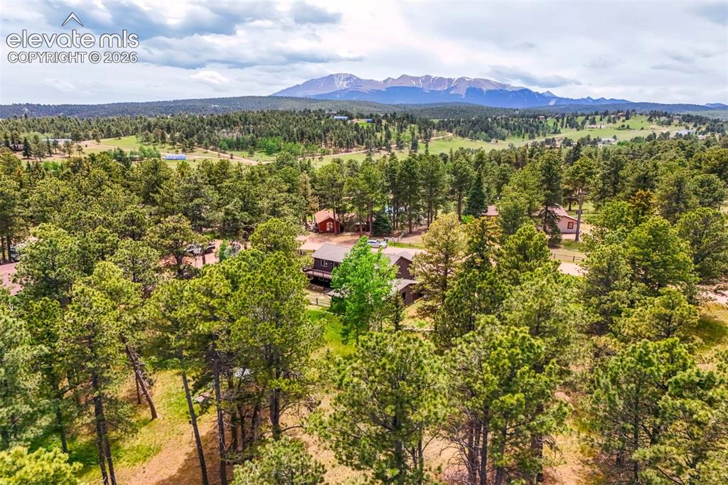 Image 9 of 41: Aerial View
