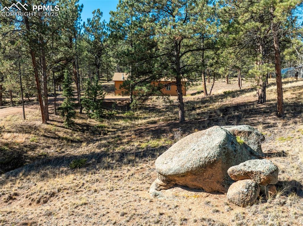 Image 18 of 29: Yard