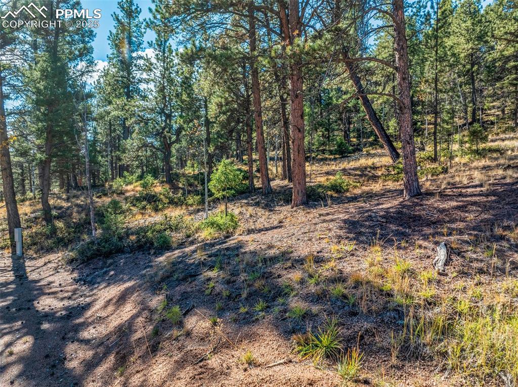 Image 20 of 29: From driveway looking at lot. 50 Amp RV pedestal on left.