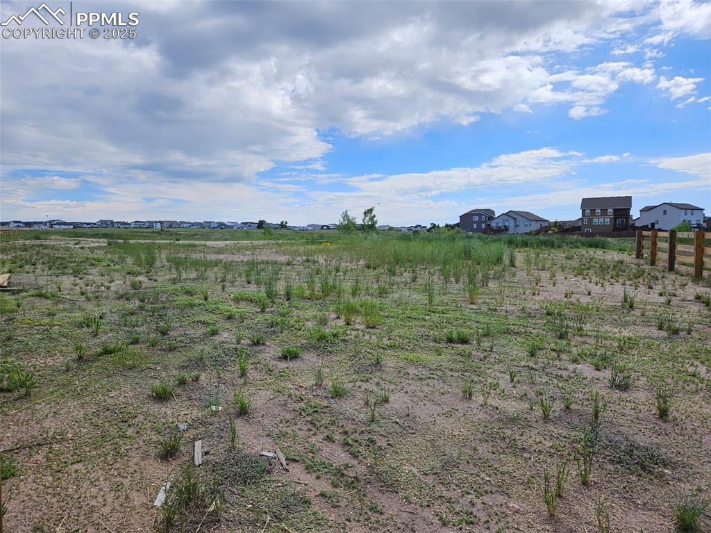 Image 42 of 42: Open space behind the house featuring trail and revine