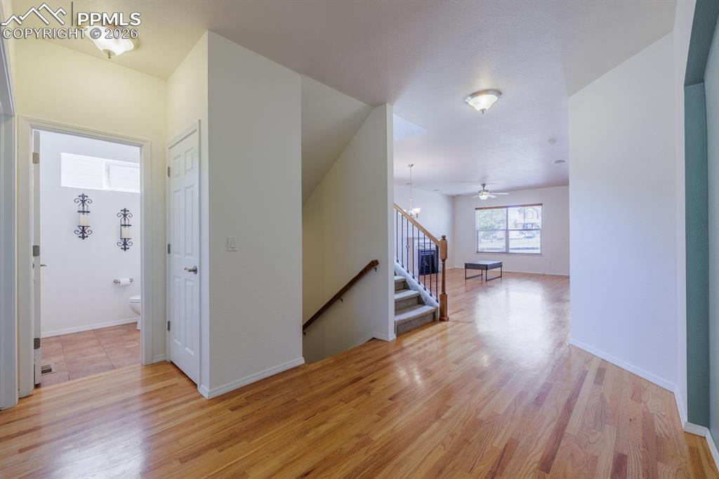 Image 6 of 50: Floor Plans