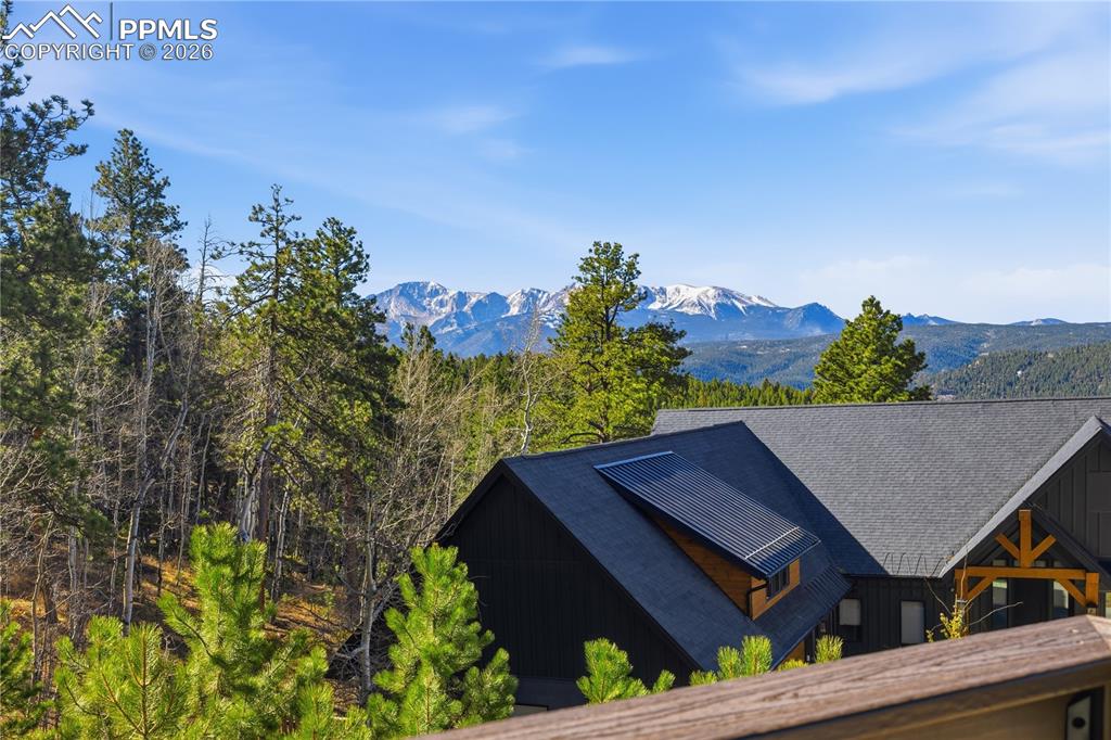 Image 42 of 44: No Description Available