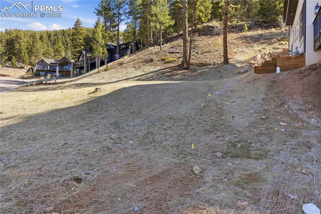 Image 8 of 44: No Description Available