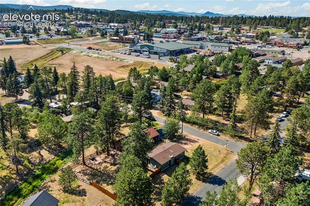 Image 4 of 32: Aerial perspective showcasing a residential area amidst dense mature trees,