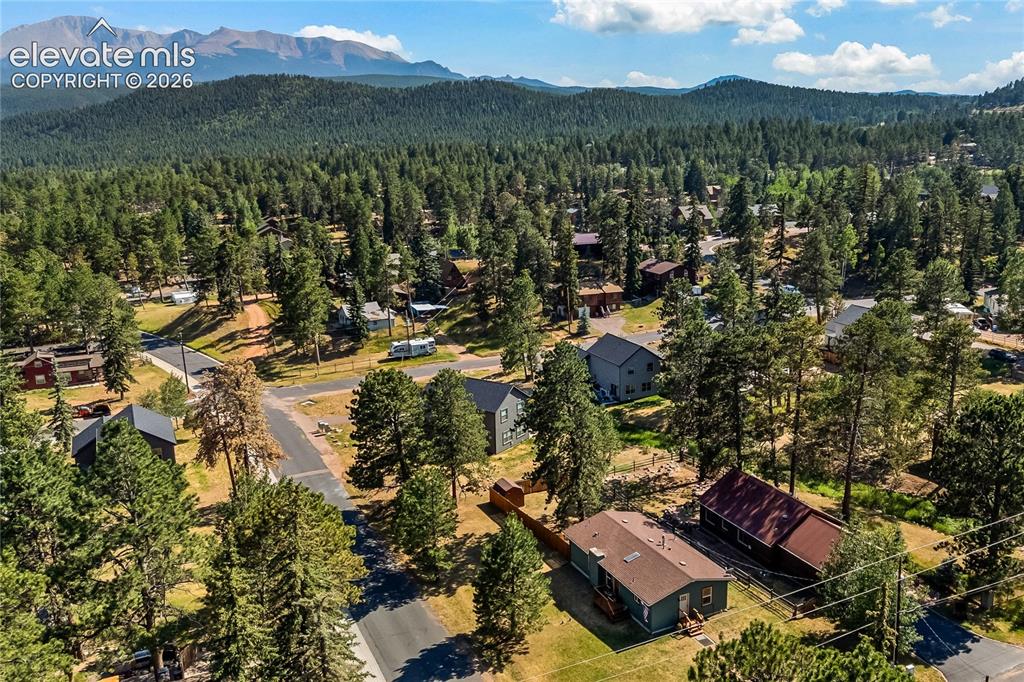 Image 7 of 32: Mountainous landscape featuring a residential area with a prominent evergre