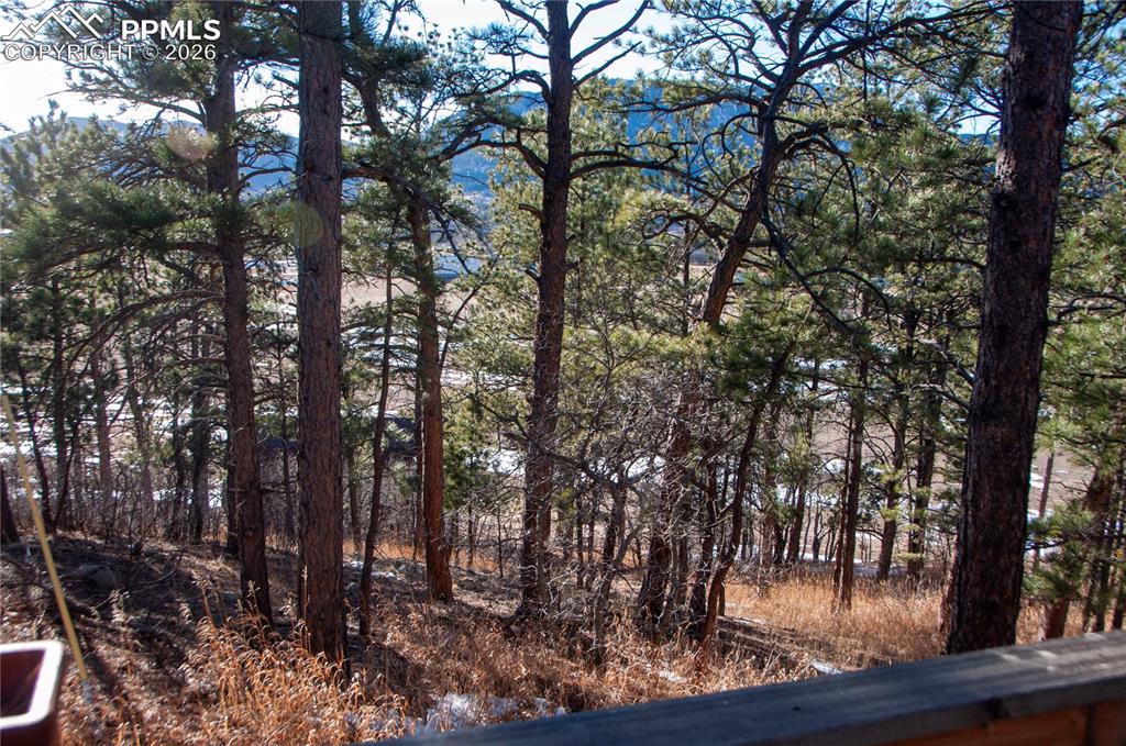 Image 17 of 23: Other