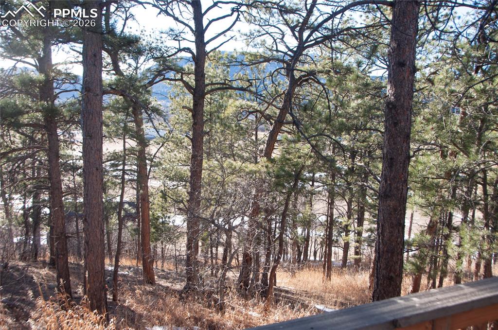 Image 18 of 23: Other