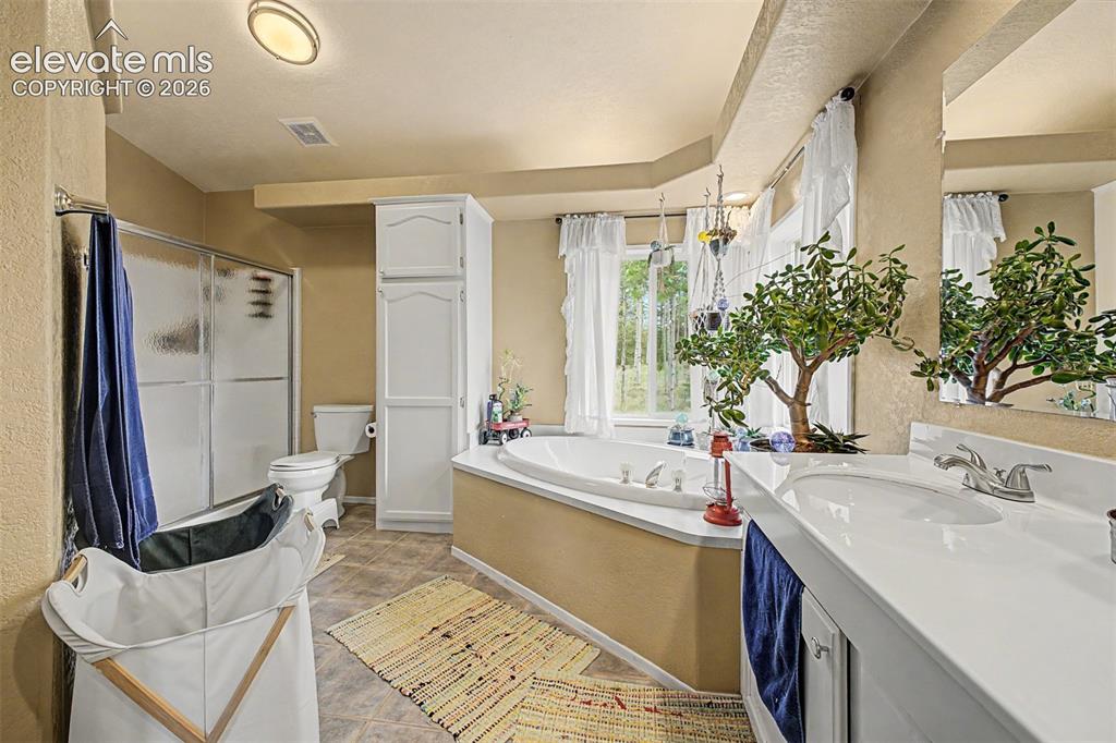 Image 16 of 48: Soaking tub with surrounding window, built-in storage cabinetry, vanity wit