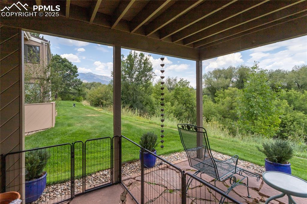 Image 28 of 46: View of patio looking to the open space behind the property