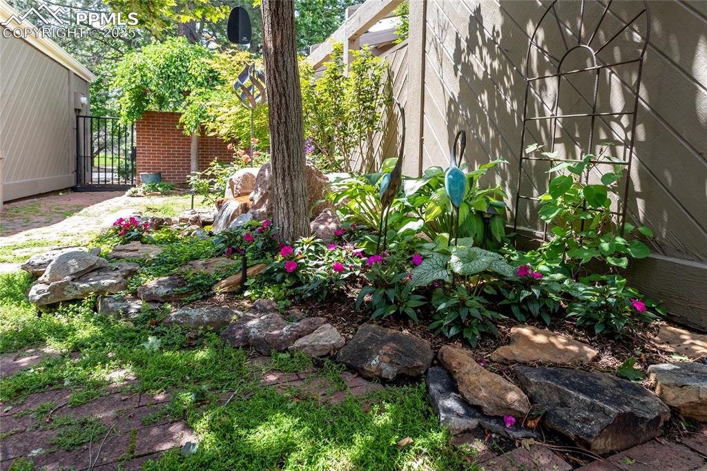 Image 35 of 46: View of yard