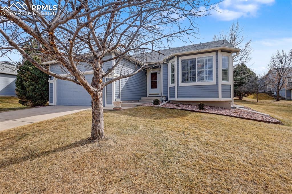 Image 2 of 27: No Description Available