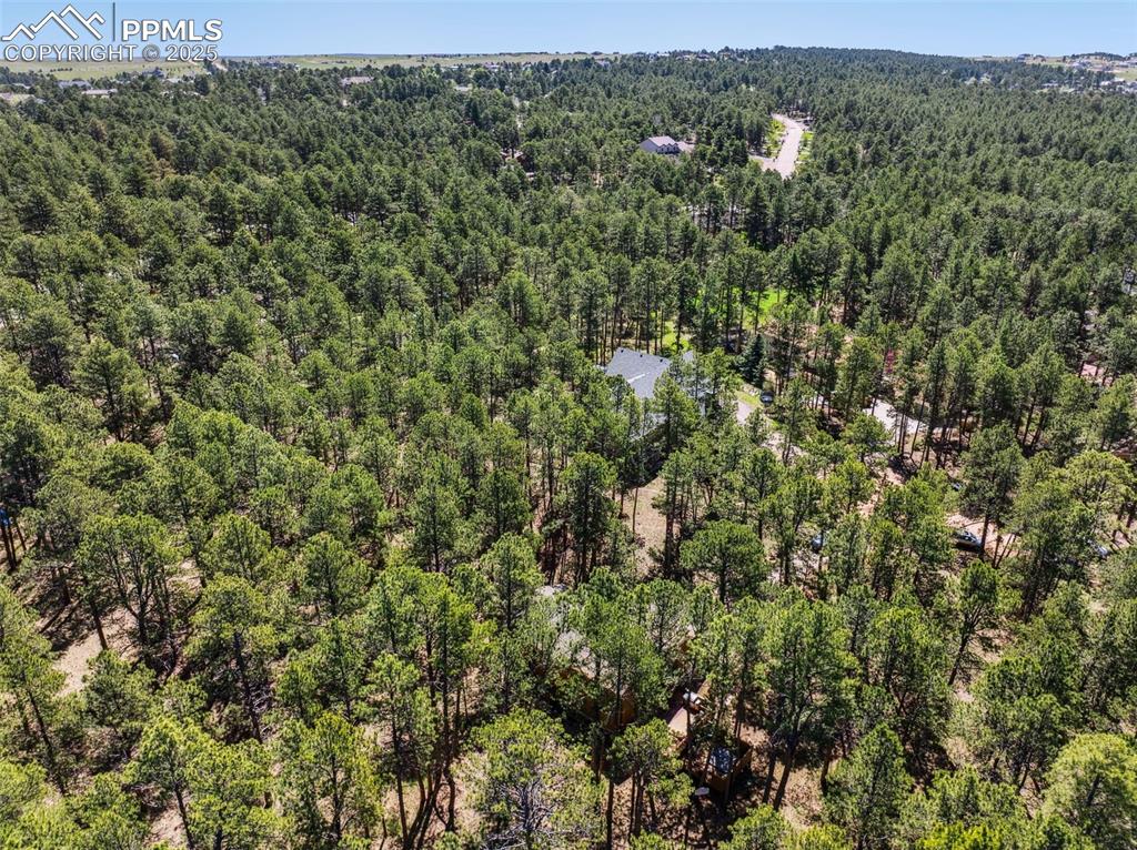 Image 43 of 43: Aerial View