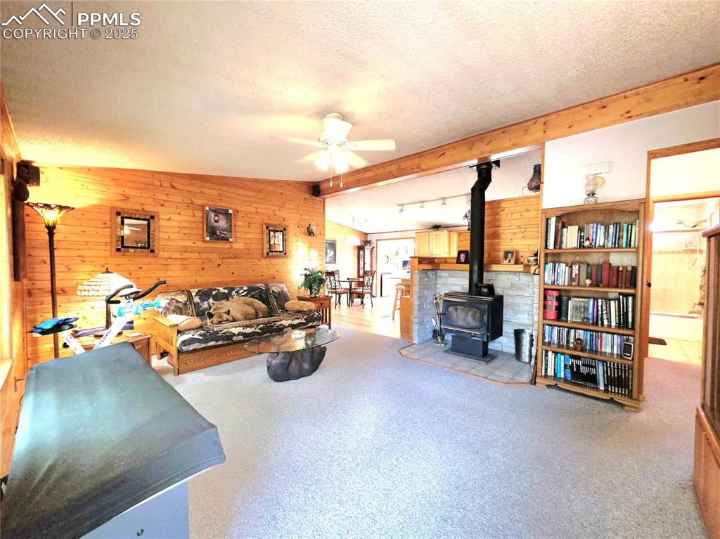 Image 11 of 50: Main entry into LR. T&G and freestanding wood stove make this space warm an