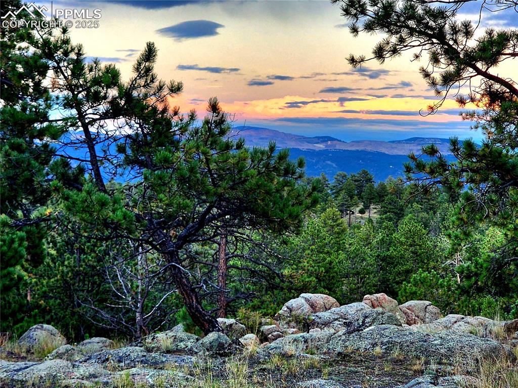 Image 4 of 50: Views from the right side of home on the property
