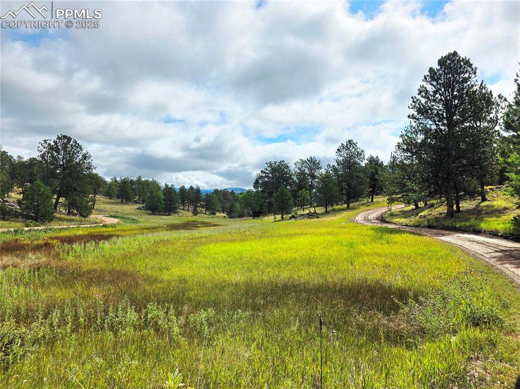 Image 6 of 50: Gently rolling, highly usable 20 acres