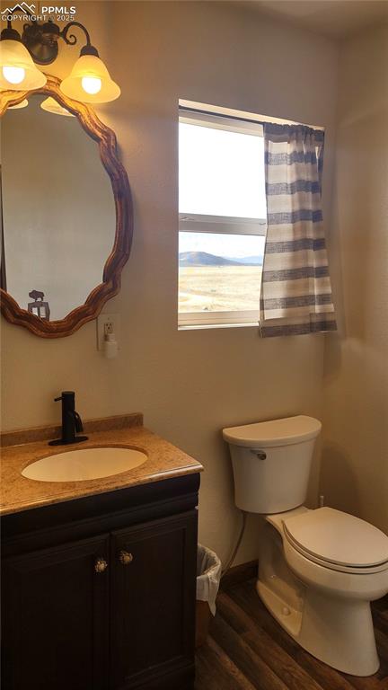 Image 22 of 38: Even the bathroom has a view! Lovely lighting & plumbing fixtures.