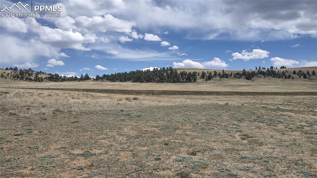 Image 33 of 38: Horses are allowed and there