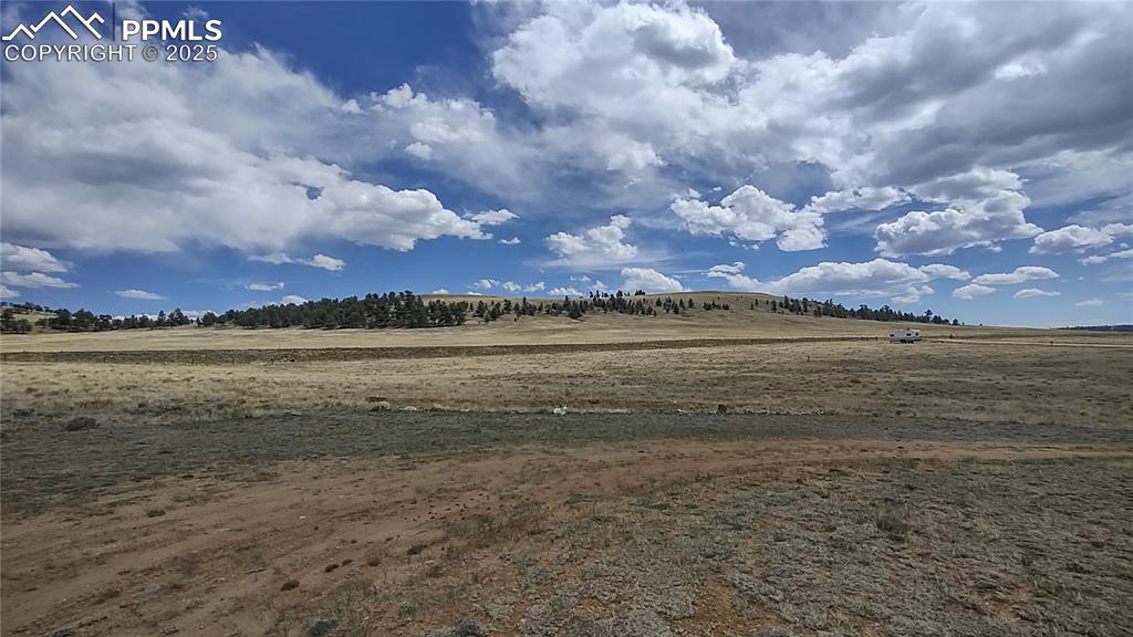 Image 34 of 38: View to south and circular drive.