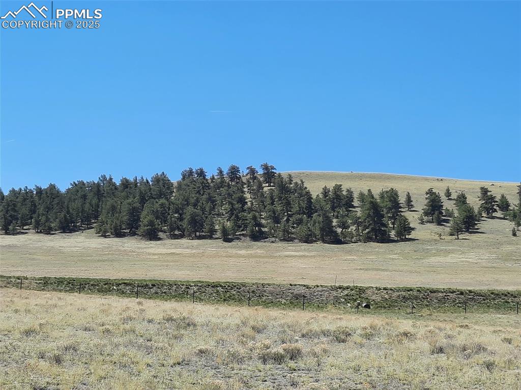 Image 35 of 38: Close-up of south hills.