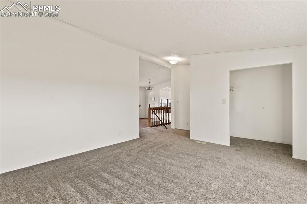 Image 16 of 50: Living room with new carpet